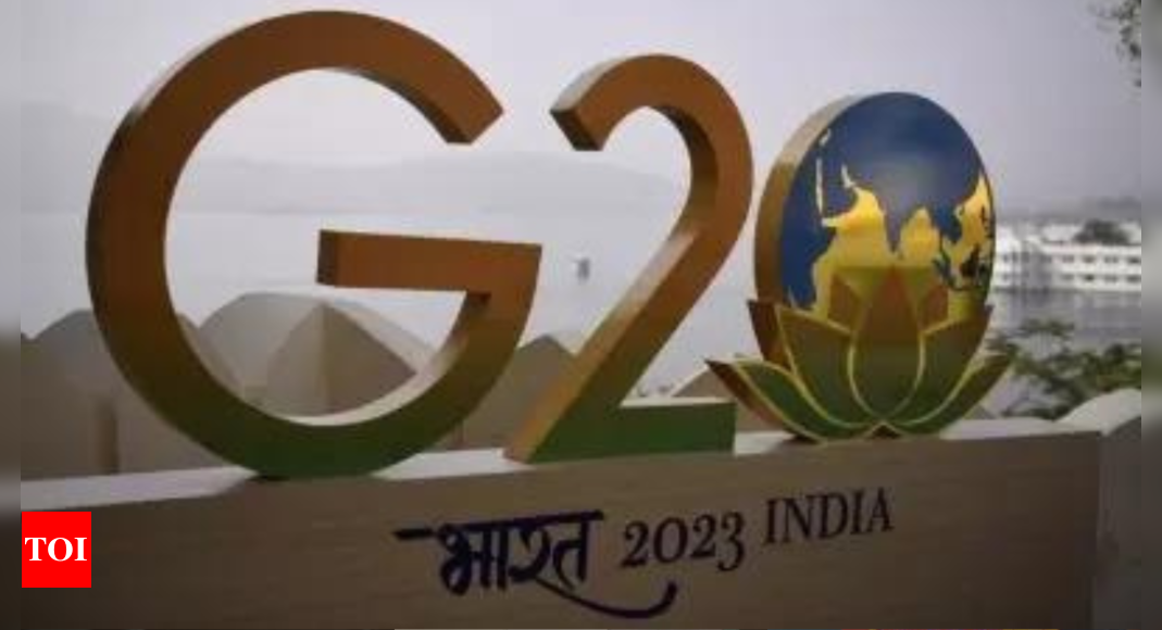Moscow: Moscow, Beijing blast Western ‘blackmail and threats’ at G20 – Times of India