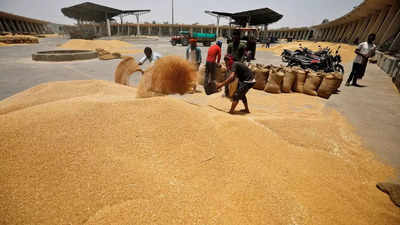 Govt fixes wheat procurement target at 34.15 million tones for 2023-24