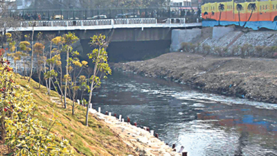 Clean Yamuna: Najafgarh drain's revival part of master plan focus