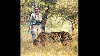 Surprised at service curtailment, says scientist who brought cheetahs to India