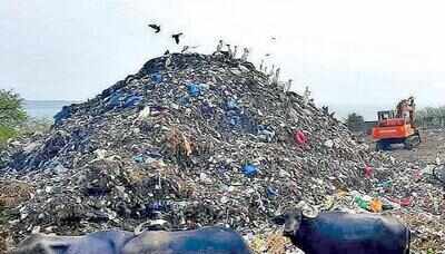 Will talk to CM about clearing legacy waste at Sada dumpsite: Amonkar
