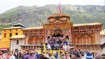 Char Dham yatra: Mule fares on Kedarnath route increased by 10%