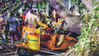 Woman killed as tree falls on auto in Chennai