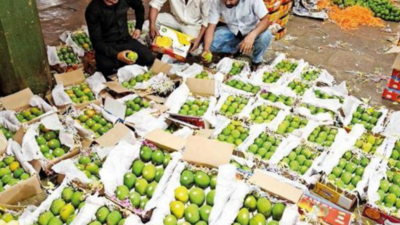 APMC Vashi market receives good supply of mangoes, Alphonso prices drop