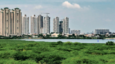 Gurgaon weather: Winds to the rescue, maximum temperature down 3 degree Celsius
