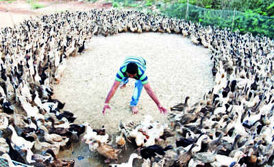 Situation inches towards normalcy in Bokaro