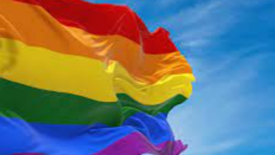 Karnataka’s first transgender survey will be launched in Mysuru, Vijayapura districts