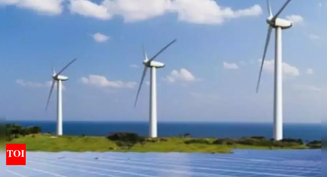 ‘state Can Be Leader Of Green Energy Sector’ | Visakhapatnam News