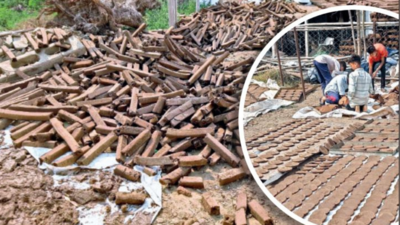 Gujarat: 50% rise in demand for cow dung logs this Holi