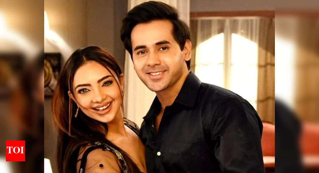 'Bade Acche Lagte Hain 2': Raghav to find out the truth of Pihu's ...