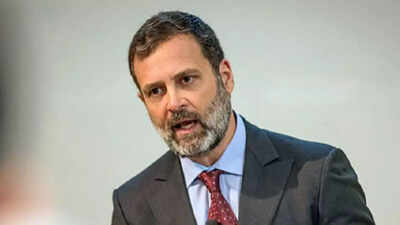 Intricacies of Rahul's remarks were lost on BJP: Congress