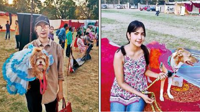Dogs' day out: 300 furry friends of different breeds walk the ramp in Lucknow