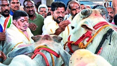 A Revanth Reddy: Telangana CM K Chandrasekhar Rao forgot his promises to Vemulawada after poll victory
