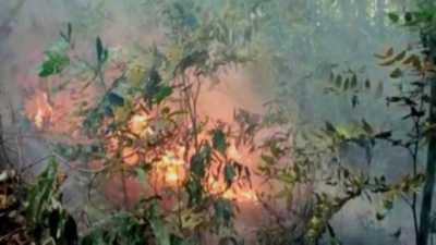 Multiple fires at Mhadei wildlife sanctuary in Goa