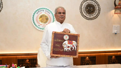 Chhattisgarh budget 2023-24: Unemployed youth to receive Rs 2,500 monthly allowance