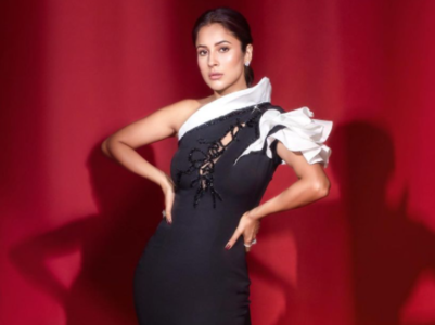 Shehnaaz's breathtaking photoshoot; pics