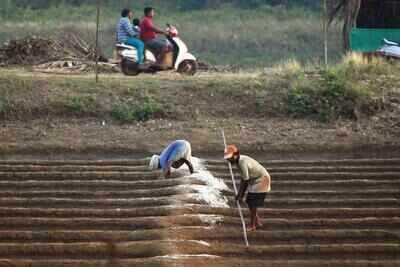 Bad weather, labour travails rub salt in ailing industry’s wounds in Goa