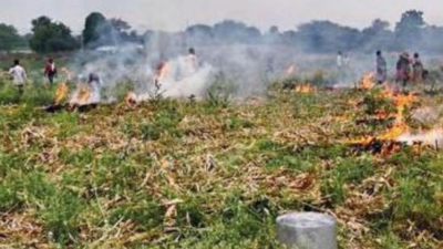 Nashik onion farmer sets his produce on 1.5 acres ablaze