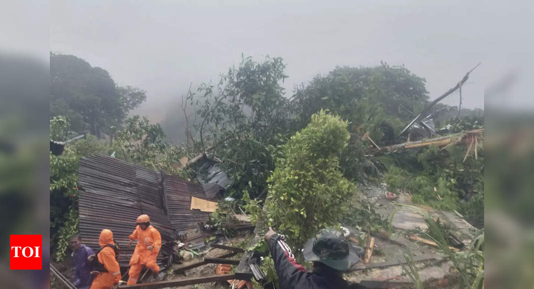 Indonesia landslides kill 10, rescuers search for 42 missing – Times of India