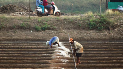 Bad weather, labour travails rub salt in ailing industry’s wounds in Goa
