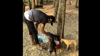Citizens, Panaji corporation to help quench thirst of strays