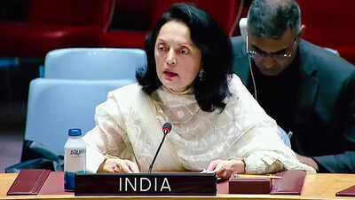 PM Modi believes women are not just homemakers but also nation-builders: India's Envoy to UN