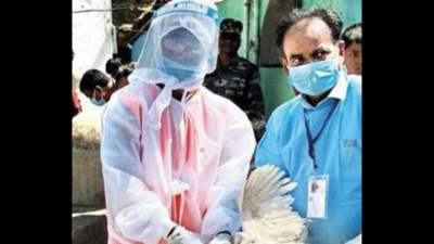 Bird flu: Culling begins in 1-km radius of ground zero in Ranchi