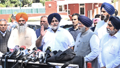 SAD urges governor to dismiss AAP govt in Punjab | Chandigarh News ...