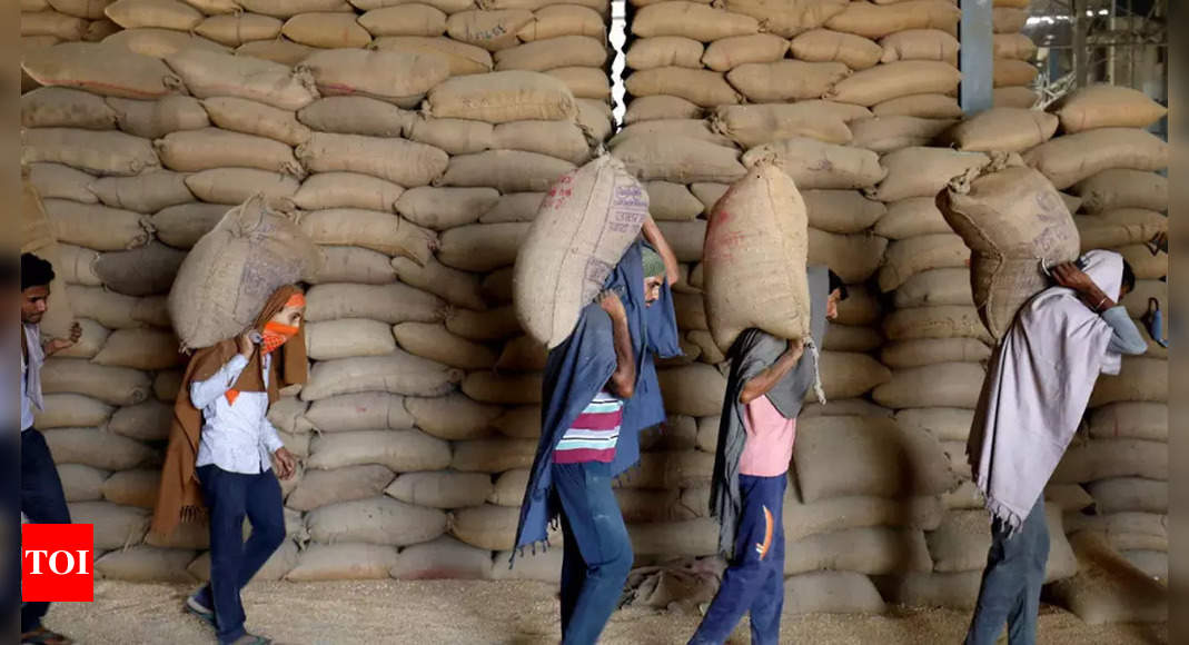 India to send 20,000 metric tonnes of wheat to Afghanistan via Chabahar port | India News – Times of India
