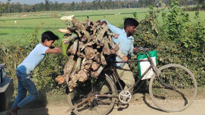 UP: Forest watchers of Dudhwa and Pilibhit tiger reserves paid 11-month-old wages on Holi