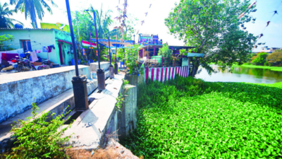 750 houses, shops face eviction in Velachery lake in Chennai