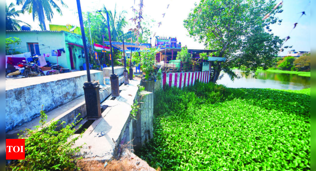 Velachery 750 houses, shops face eviction in Velachery lake in Chennai