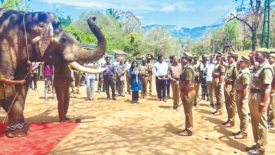 Tamil Nadu forest department extends befitting farewell to kumki Kaleem on retirement day
