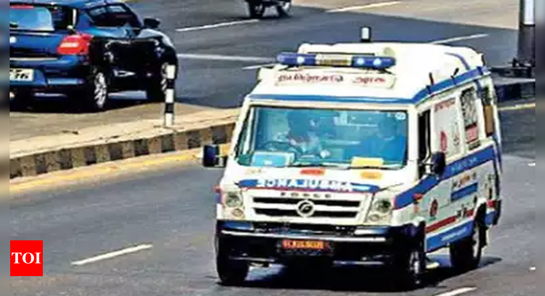 Woman gives birth to baby in ambulance near Chennai | Chennai News ...