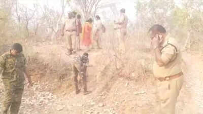 Forest dept extends search for mother Tiger to reunite abandoned cubs at Andhra Pradesh's Nandyal district