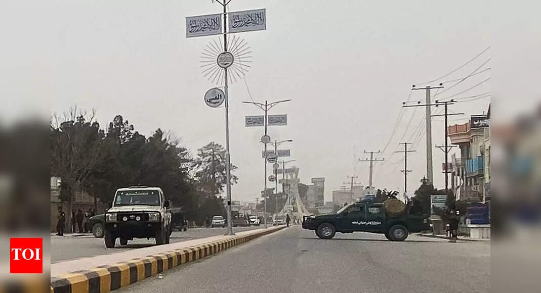 Taliban governor of Afghan province killed in suicide attack