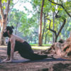 Ashwa Sanchalanasana - Equestrian Pose In Yoga | Poses, Yoga poses, Yoga