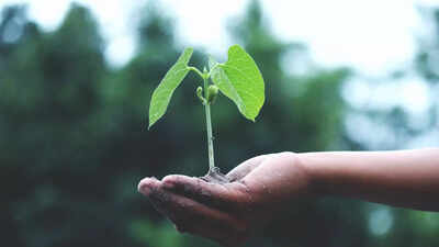 DST secretary urges MBU students to apply scientific principles for planet Earth's well-being