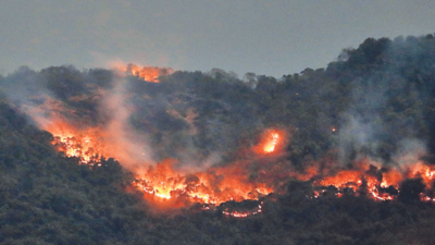 Worst fires in Goa’s history burn down rare biodiversity