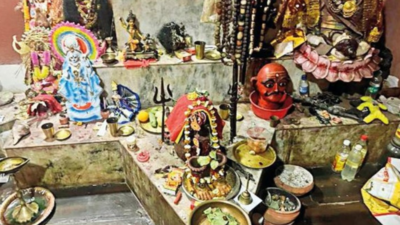 Animal skins, bones found at 'tantrik' home in West Bengal