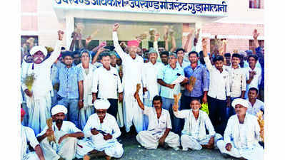 Farmers seek compensation for crop loss due to rain in Barmer