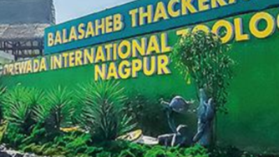Maharashtra budget: No fresh allocation for African safari in Gorewada zoo