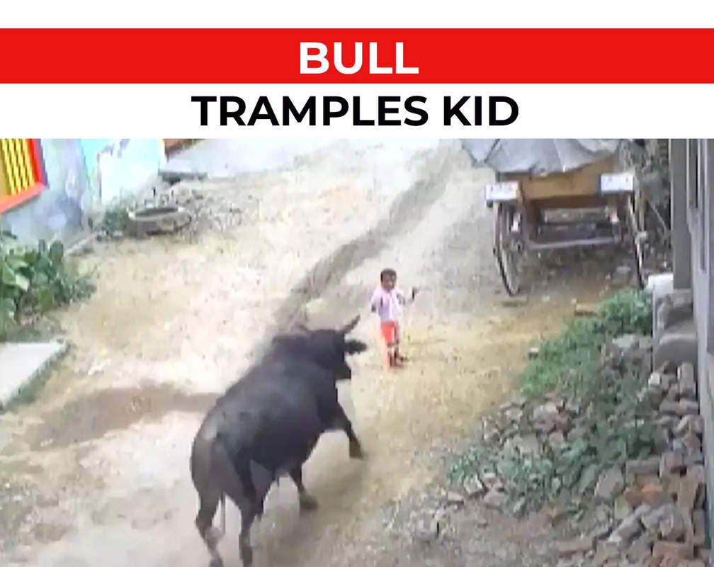 
Aligarh: Stray bull tramples two-and-half-year-old child, leaves him injured
