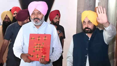 Punjab Budget 2023-24 allocates Rs 9,331 crore for free power: Key points