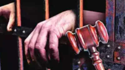 4 from China get 5 years' rigorous imprisonment for illegally entering India