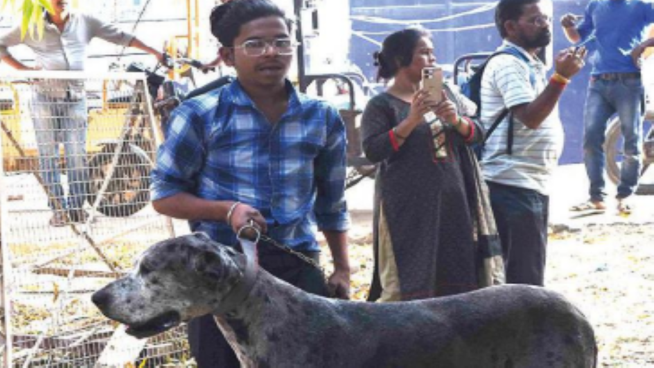 Master and family gone, 2 of Atiq Ahmeds dogs starve to death in Prayagraj Allahabad News pic