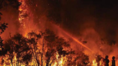 Singed by forest fires, Goa govt calls up citizens to firefight