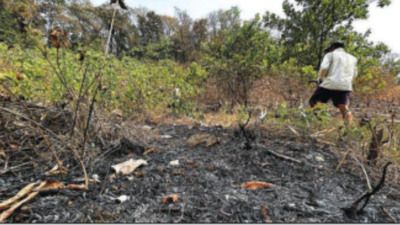 'We didn't start the fire': Satre locals attribute flames to rising temperatures, 'will of god'