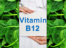 Vegetarian foods rich in Vitamin B12