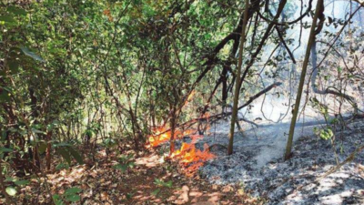 Netravalli and Mollem forests latest blaze spots, yet to be fully doused